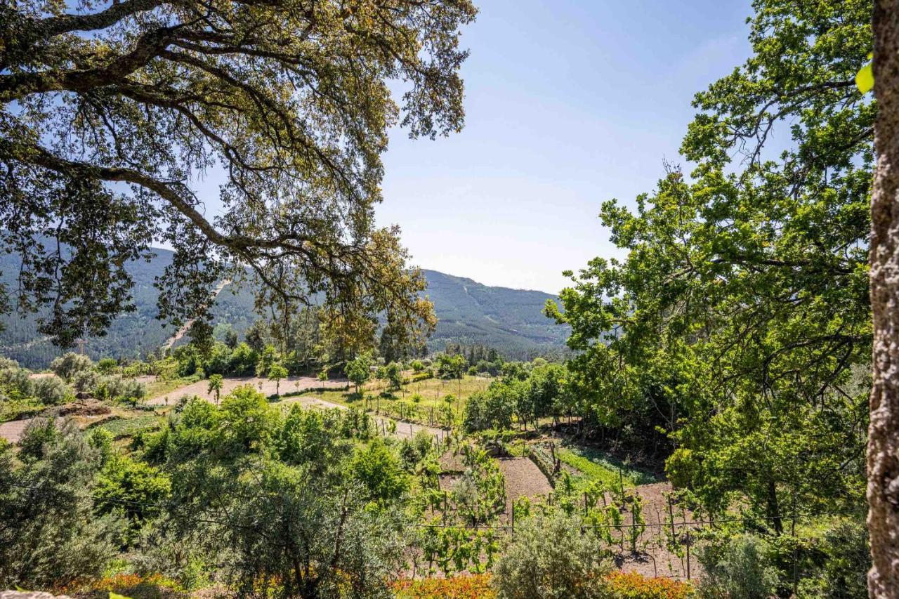 Quinta Da Baldieira Mondim de Basto Bagian luar foto