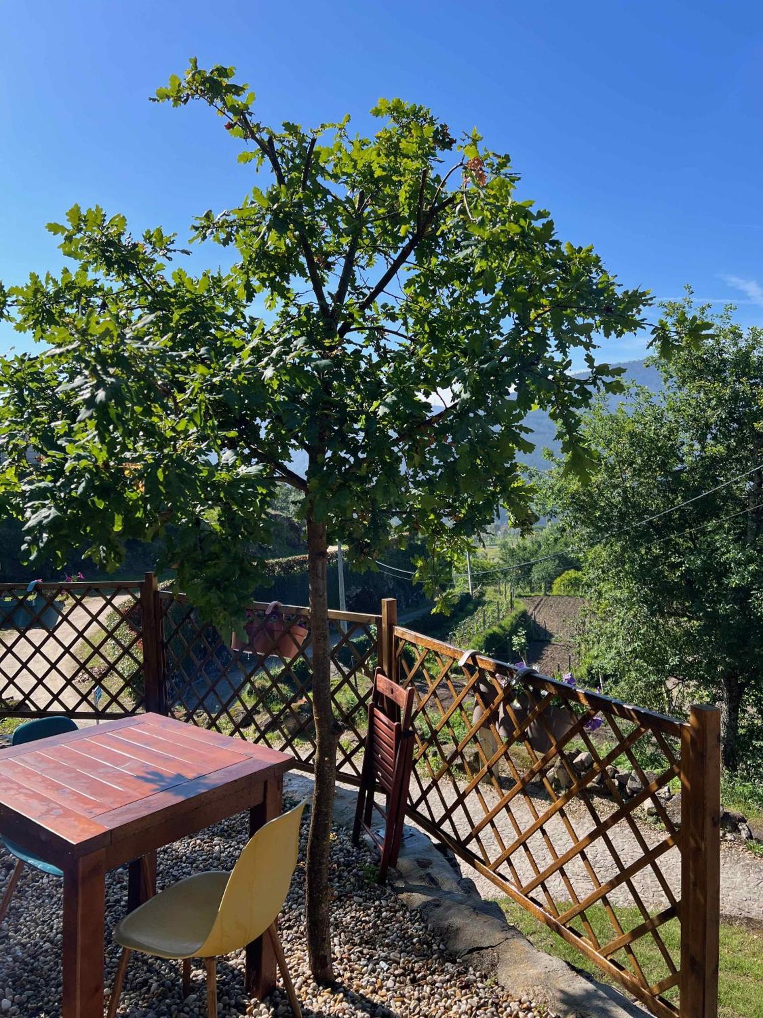 Quinta Da Baldieira Mondim de Basto Bagian luar foto