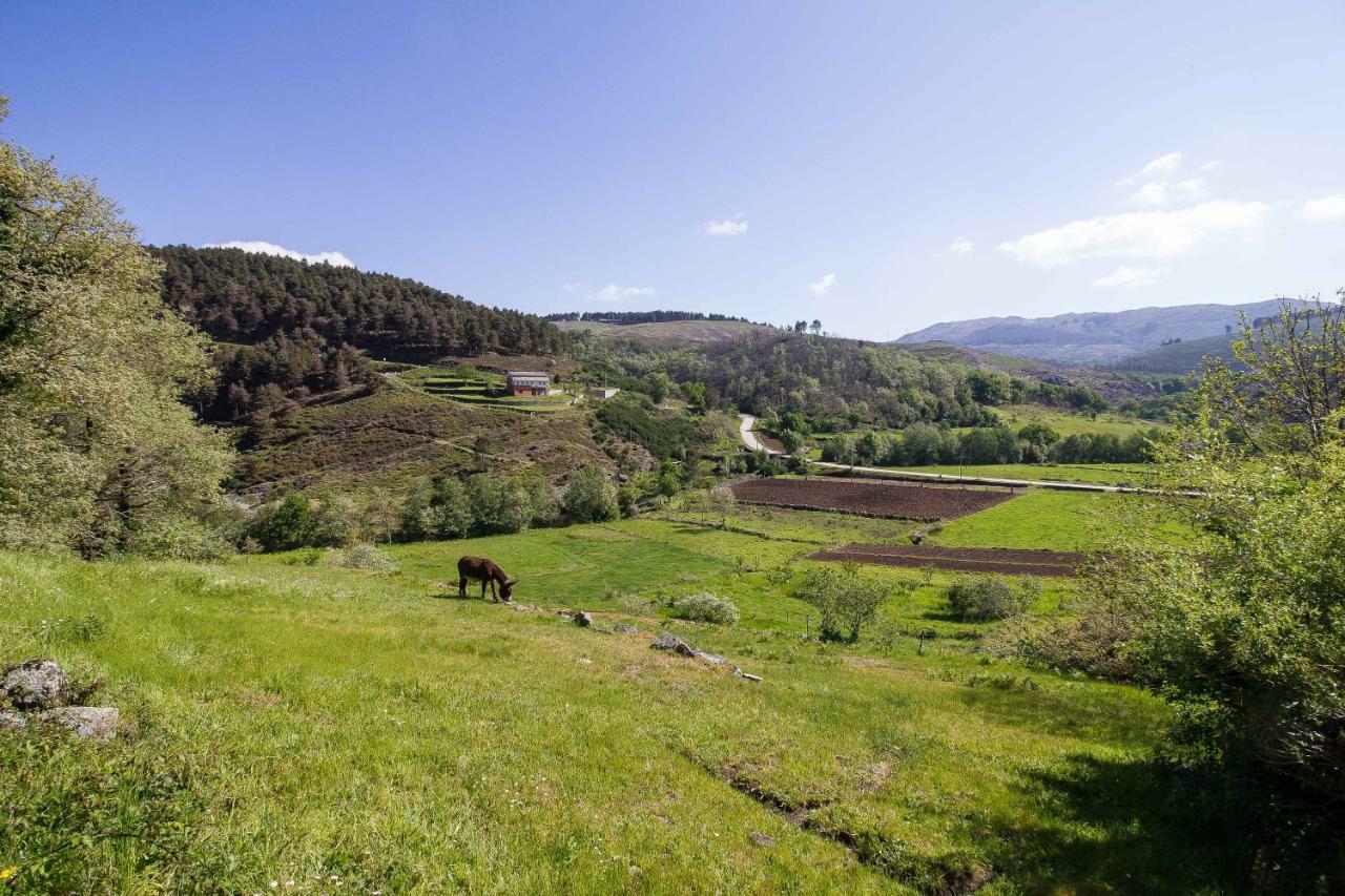 Quinta Da Baldieira Mondim de Basto Bagian luar foto
